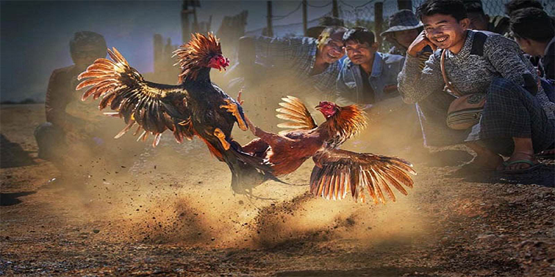 jili slot chơi bắn cá đổi thưởng