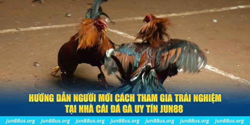 jili slot CQ9 Điện Tử