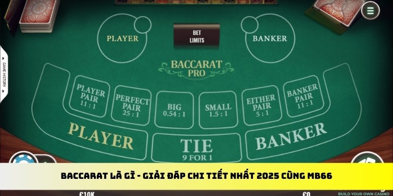 jili slot gà chọi cu cần