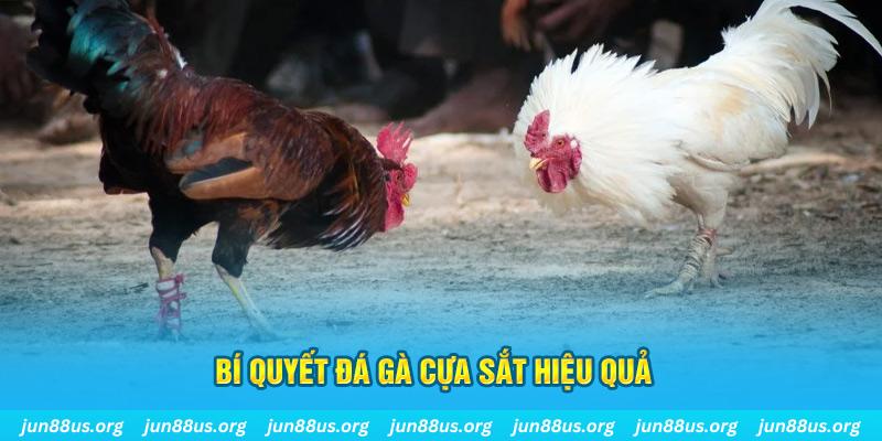 jili slot xin 1 slot là gì