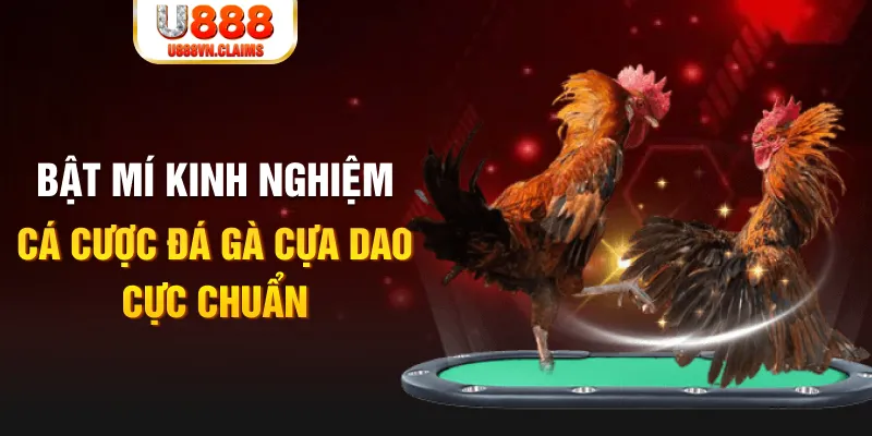 jili slot tỷ lệ cá cược châu á là gì