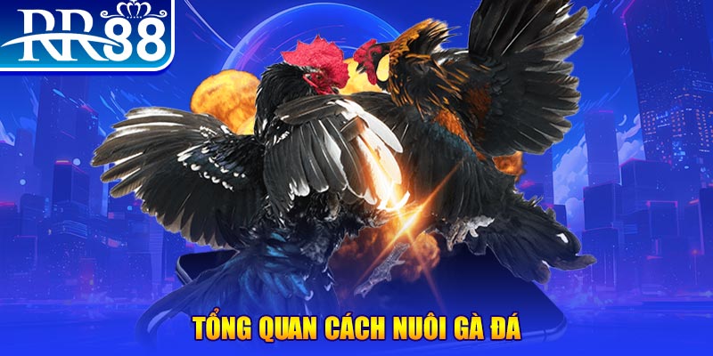 jili slot VA Điện Tử