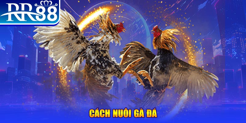 jili slot xổ số an giang