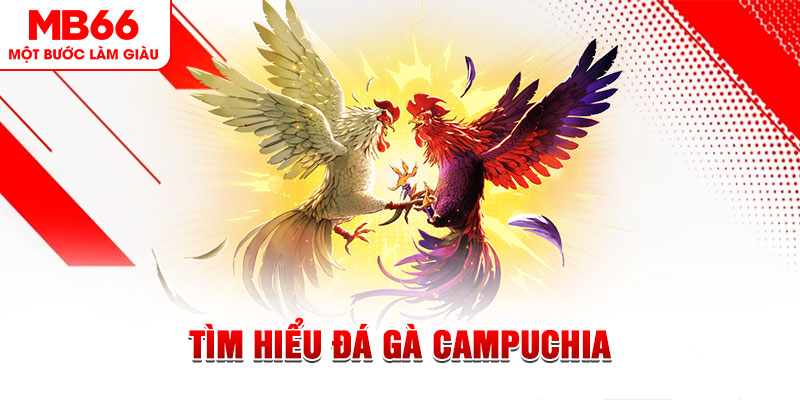 jili slot đá gà trực tiếp