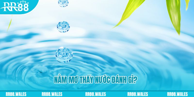 jili slot TP Bắn cá