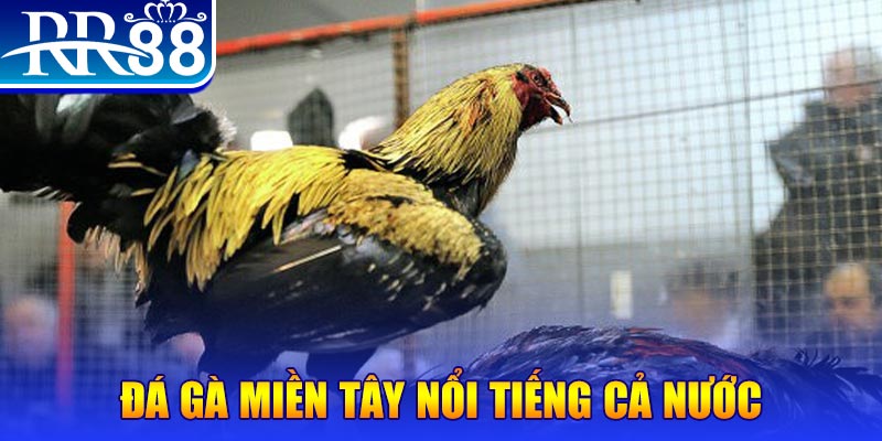 jili slot JILI Game Bài 3d