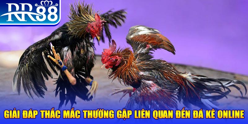 jili slot xổ số đà lạt