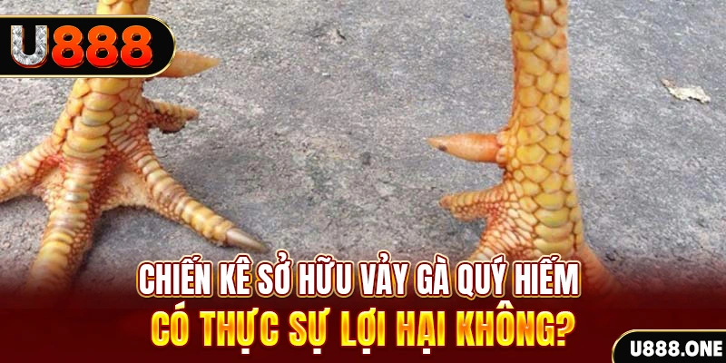 jili slot nohu .mx nổ hủ là gì