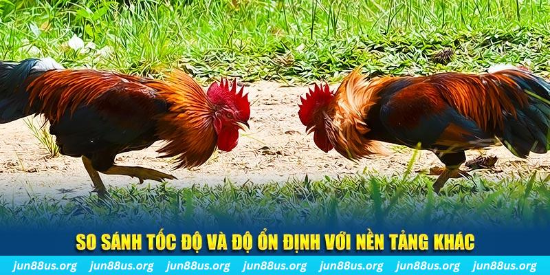 jili slot đá gà hôm nay
