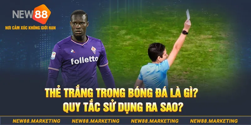 jili slot gà chọi mộc hóa