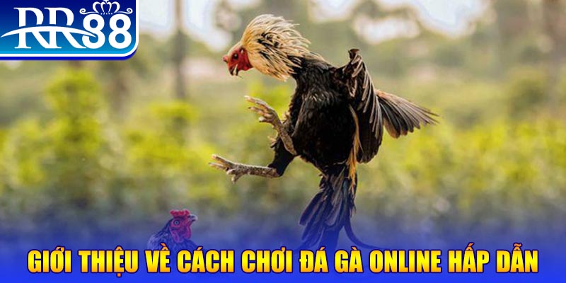 jili slot game nổ hũ rút tiền mặt là gì