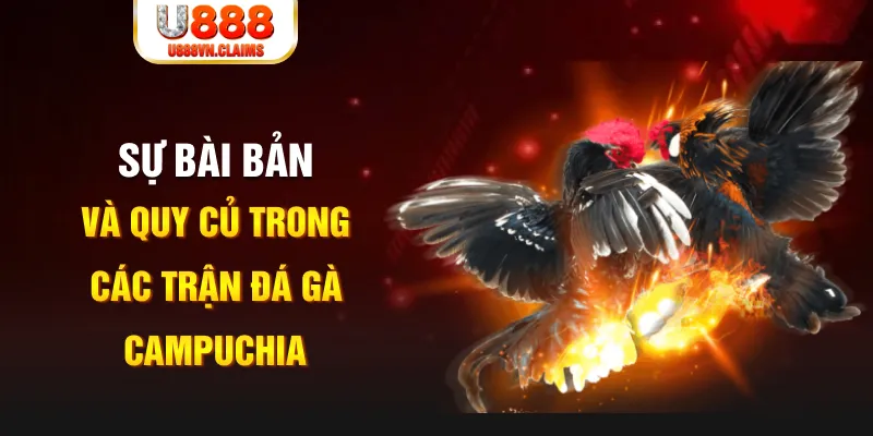 jili slot YGR Điện Tử