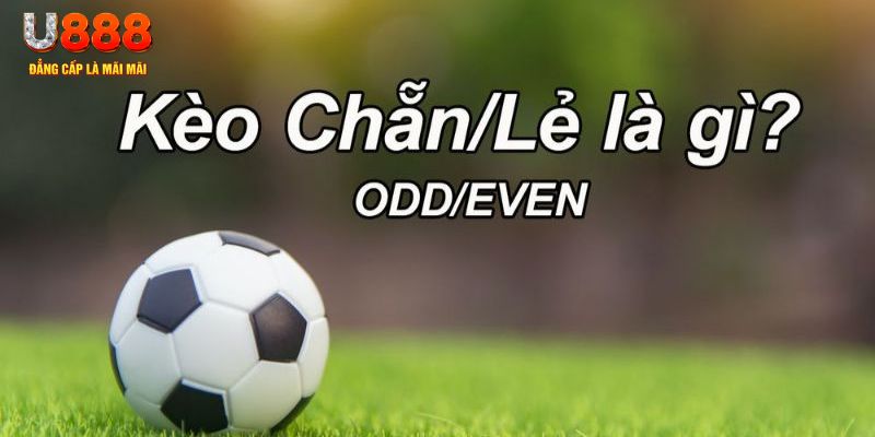 jili slot đăng nhập poker hôm nay