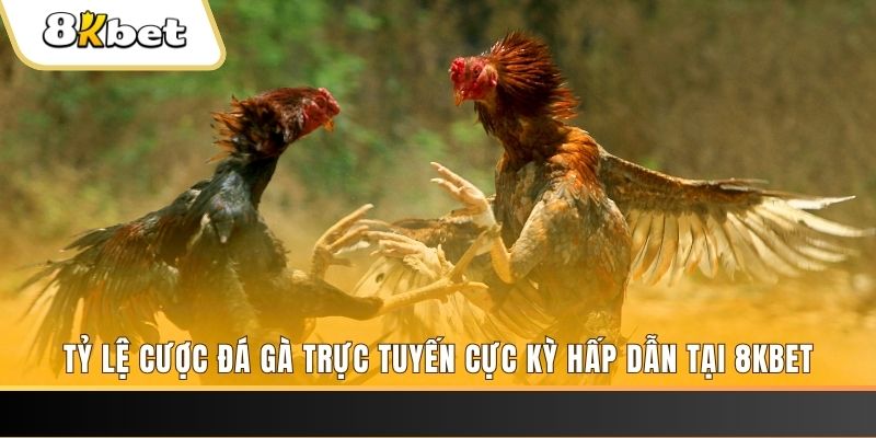 jili slot xổ số trực tiếp miền bắc