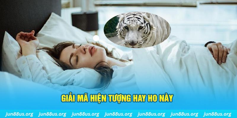jili slot đăng nhập nổ hũ uy tín