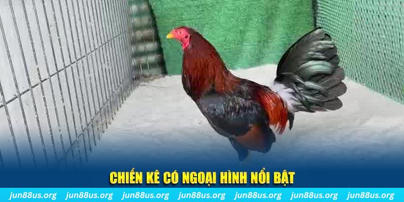 jili slot chạy quảng cáo cho game bài bị phạt như thế nào
