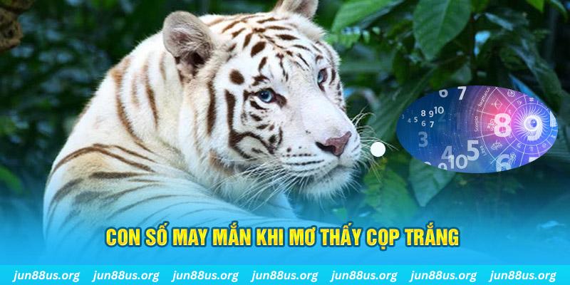 jili slot đá gà trực tiếp 88